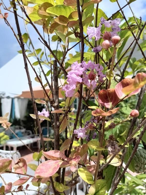 Palm Sweet Hotel Prachuap Khiri Khan Eksteriør billede
